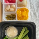 집으로 간 참치 이미지