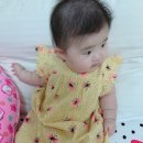 보보소프트 이미지