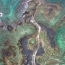 초록빛하루 이미지