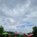 남양영재어린이집 이미지