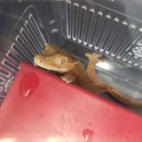 애니힐동물병원 이미지