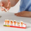 김영준치과의원 | 평택 양심 치과 찾을 때, ‘이것’만 확인해 보세요!