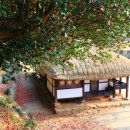 영랑생가 이미지