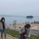 진도
