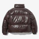 브라운퍼피 이미지