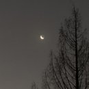 긴밤