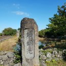 온평리-5 이미지