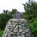 아영골 Daum카페