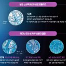 첨단안경 콘택트 이미지