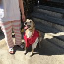 양군팩토리 이미지