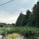 서광리-18 이미지