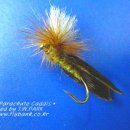 패러슈트(parachute) 이미지