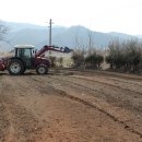 육남매농장 이미지