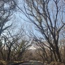 신효동-30 | 제주 카페 베케 (VEKE) 솔직 후기 | 서귀포 정원 카페 추천 &amp; 도슨트 꿀팁