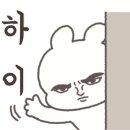 펄슨피티 이미지