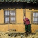 양지할머니 이미지