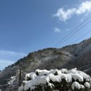 8코기네 애견펜션 | 산장st 양평애견펜션의 매력! 8코기네 애견펜션에서 프라이빗 힐링 시작