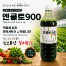 한국클로렐라판매대리점 | 고추농사 비료만 쓰나요? 식물영양제 엔클로 900, 유기농업자재로 관리한 후기