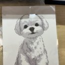 이리오개 이미지