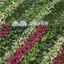 (주)바우라움 수원 캠퍼스 | 수원 겨울 실내 가볼만한곳, 일월수목원 야간개장 후기