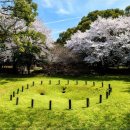 제주도아이랑파미유리조트키즈가족펜션 이미지