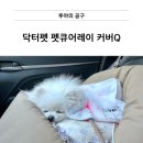 테디펫닥터동물병원 | [공지] [닥터펫x루야] 반려동물 의료기기 강아지 홈케어, 닥터펫 펫큐어레이 커버Q 공구(1+1 구성 ~1/27)