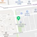 WTA 태권도장(2층) 네이버블로그