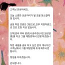 클린마케팅 | 26평 미소어플 내돈내산 이사청소“퍼스트클린” 대만족 후기