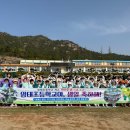암태초등학교 시민일보