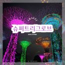 가든 오브 클라우드 | 싱가포르 슈퍼트리쇼 시간 가든스바이더베이