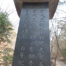 우산리 Daum카페