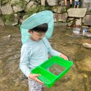 주록리계곡 루돌프 | 아이와 여주 가볼만한곳 루돌프 카페 체험 후기 (송사리잡기, 피자만들기, 우드공예)