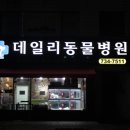 캐비어동물병원 이미지
