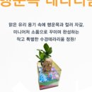 천년목 다육농장