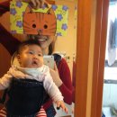 멍멍아 까꿍 이미지