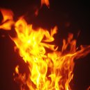 침벽캠핑장 이미지