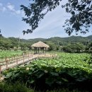골정지 로컬투데이