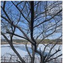 꽃지늘봄펜션 이미지