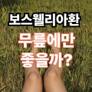 유향한의원 | 무릎이 뻣뻣하고 쑤신다면? 보스웰리아환이 필요한 신호입니다
