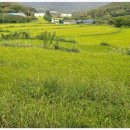 산뜨락힐링펜션 이미지