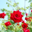 즐겨찾기공인중개사사무소 이미지