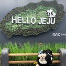 마롱스테이 이미지