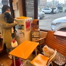 조양로151번길 이미지