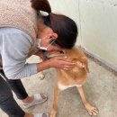 백순농장 이미지