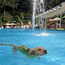 더히로 플레이그라운드 이미지