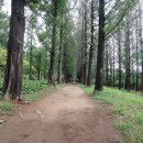 봉산2로 이미지