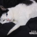 고마워 MIN 이미지