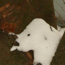 제눈에안경 이미지