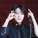 플레로마 이미지