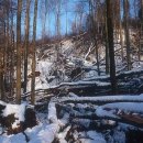 성숙농장 이미지